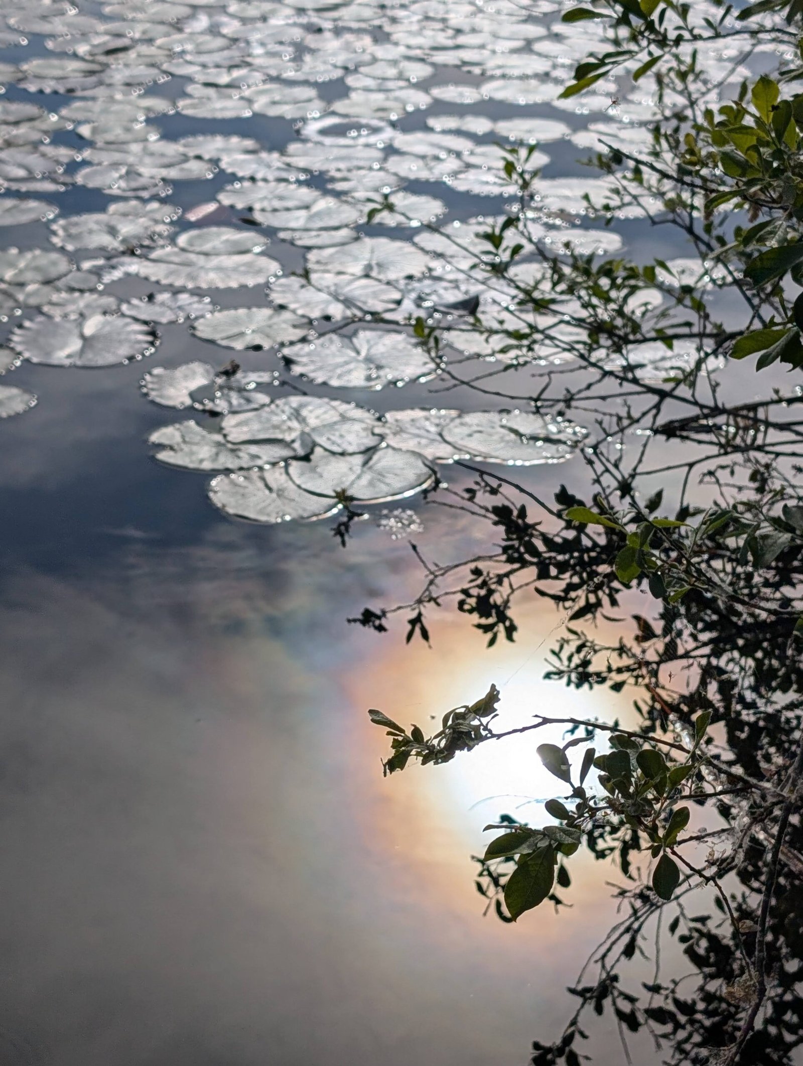 “I feel more myself than I ever was”